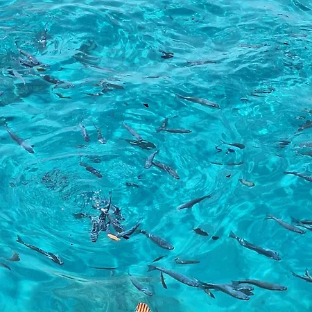 Boheme B6 Sunrise Apartamento *