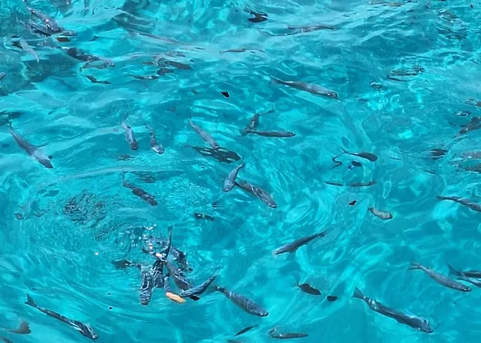 Boheme B6 Sunrise Διαμέρισμα *